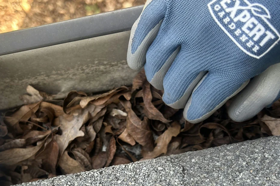 Gutter Cleaning Grove City